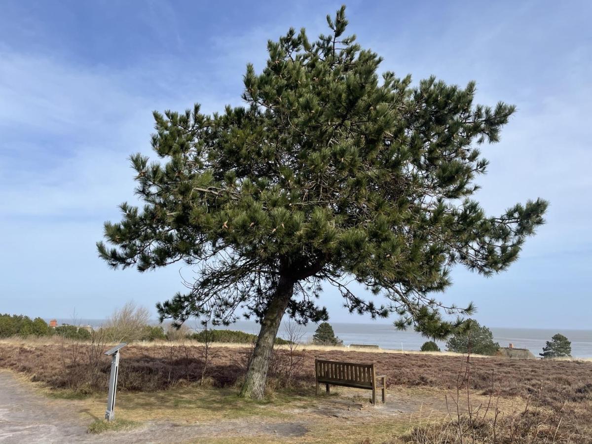 Duenenrose Apartman Sylt Kültér fotó